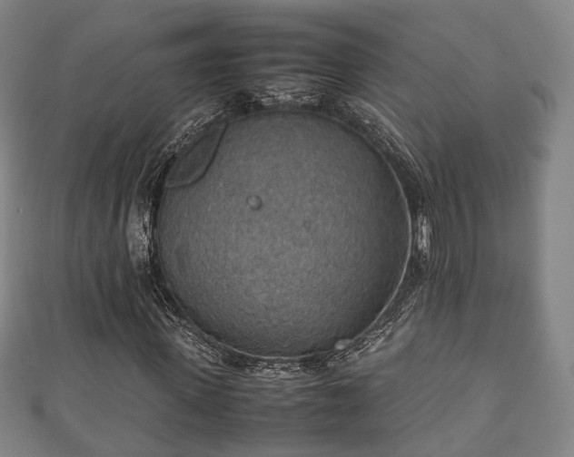 X0000111350915200907171139