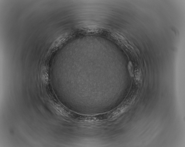 X0000111350916200907171140