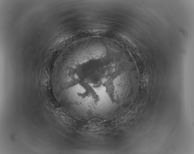 X0000111350917200907171140