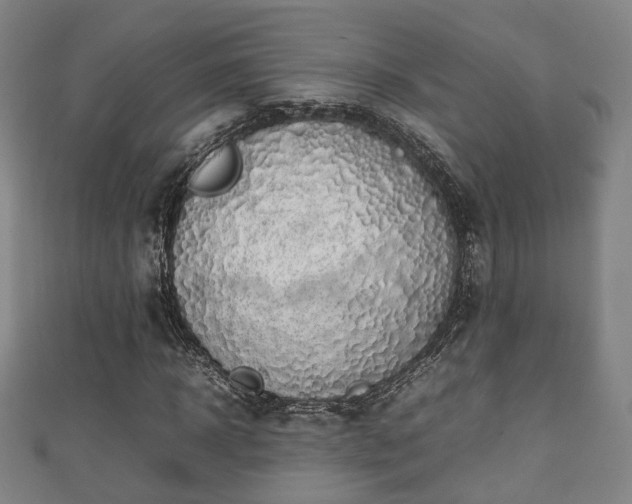 X0000111350918200907171140