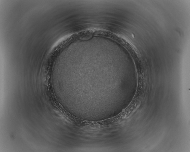 X0000111350919200907171140