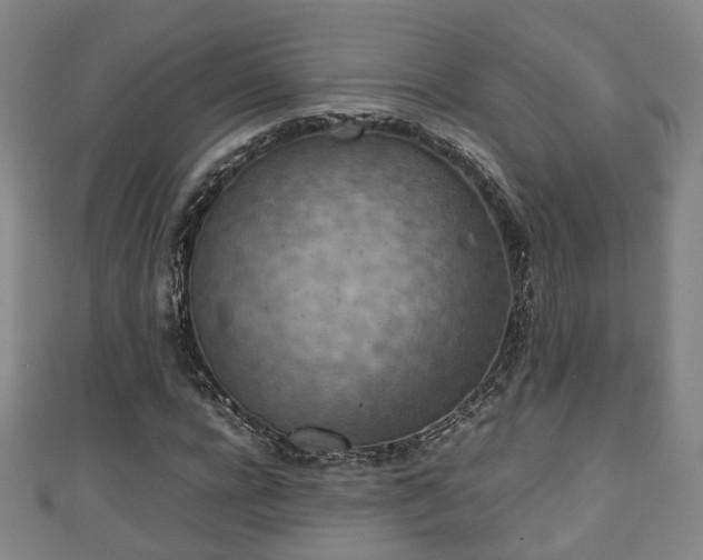 X0000111350920200907171140