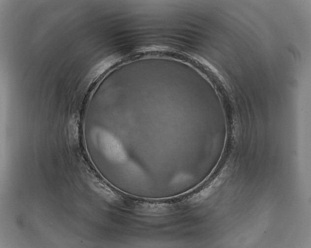 X0000111350921200907171140