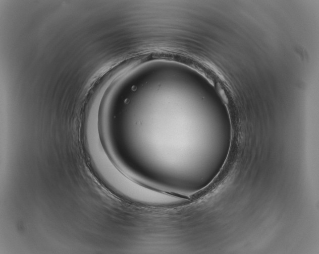 X0000111350922200907171140