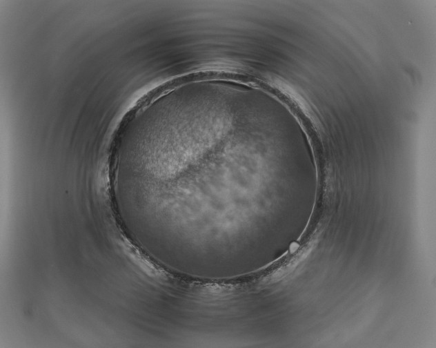 X0000111350923200907171140