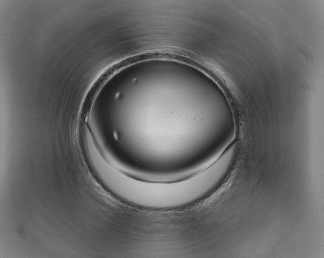 X0000111350924200907171140