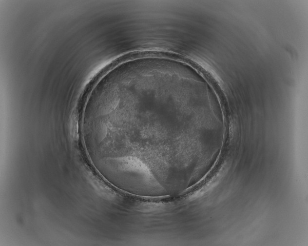 X0000111350925200907171140