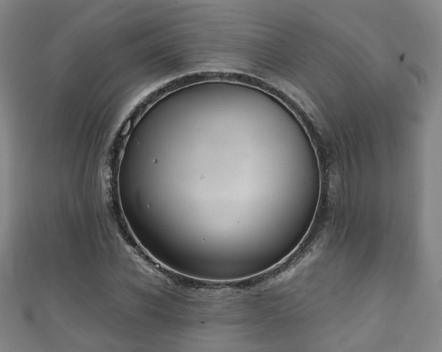 X0000111350926200907171140