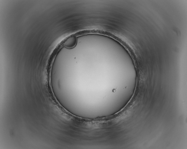 X0000111350927200907171140