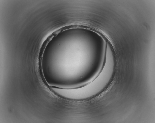 X0000111350928200907171140