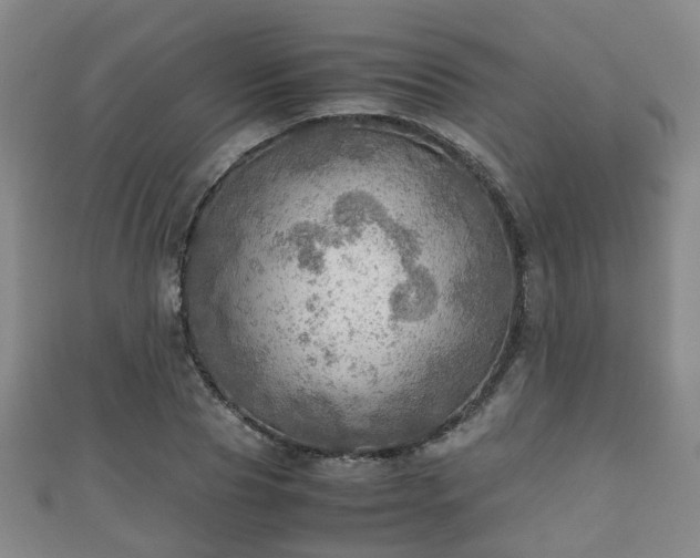 X0000111350929200907171140