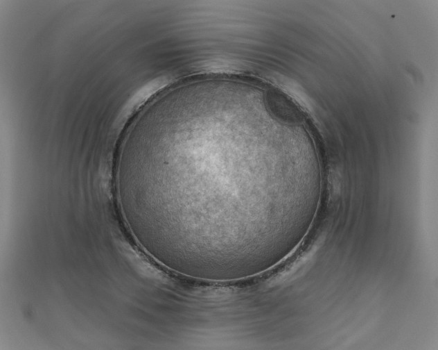 X0000111350930200907171140