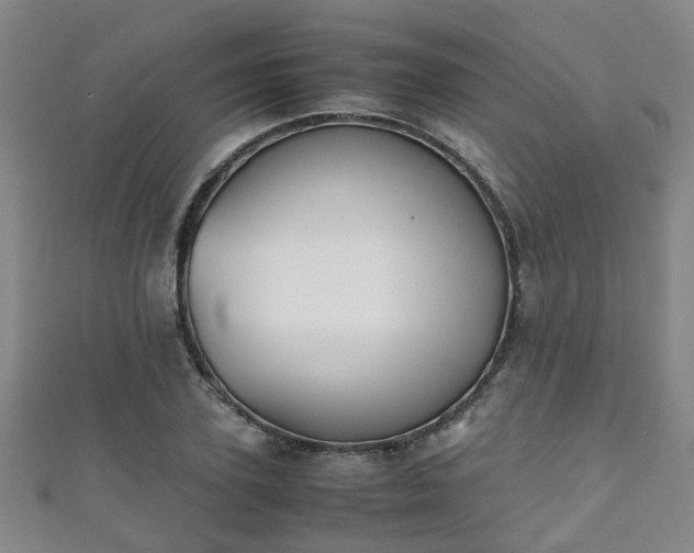 X0000111350931200907171140