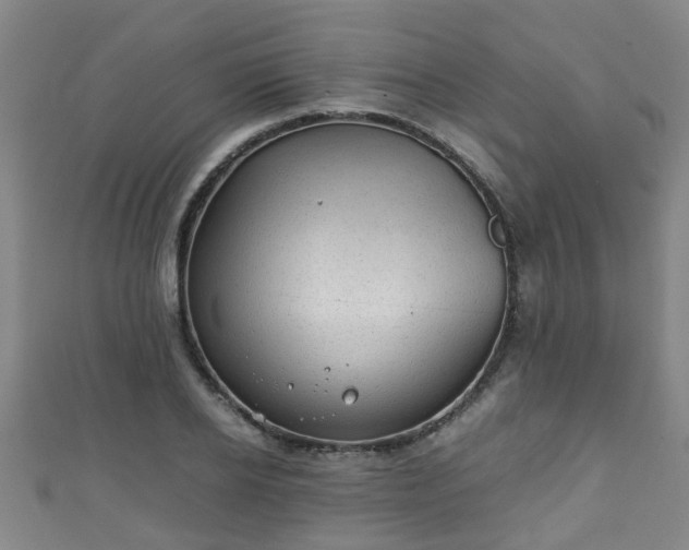 X0000111350934200907171140