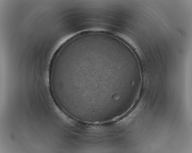 X0000111350935200907171140