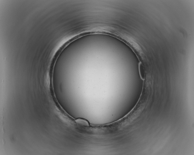 X0000111350936200907171140