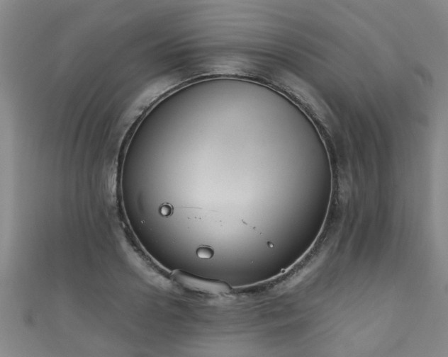 X0000111350938200907171140