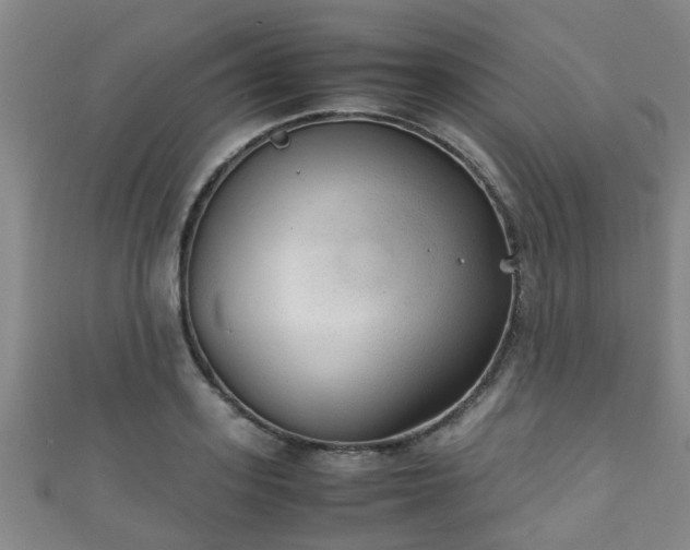 X0000111350939200907171140