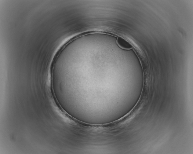 X0000111350940200907171140