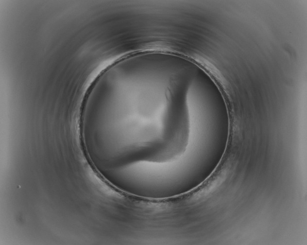 X0000111350941200907171140