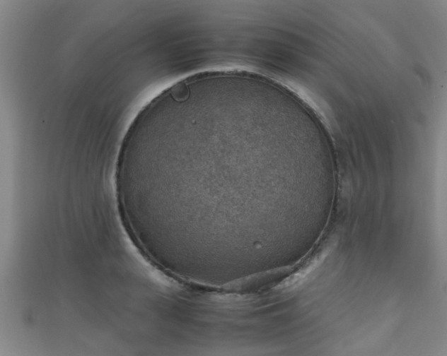 X0000111350943200907171140