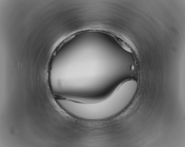 X0000111350944200907171140