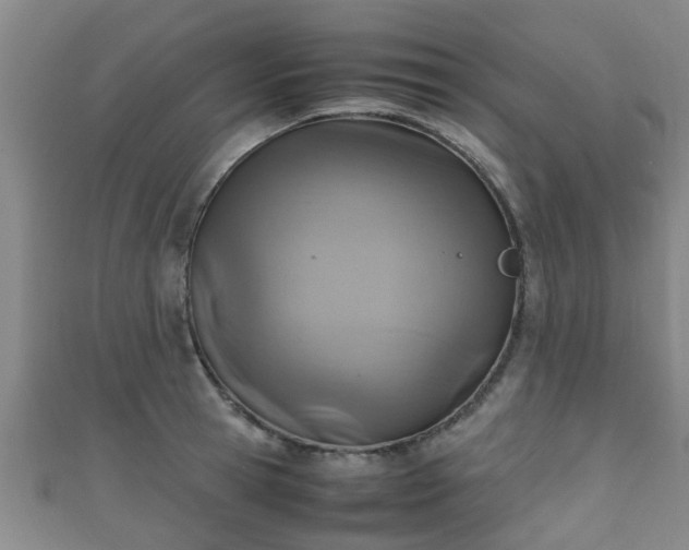 X0000111350945200907171140