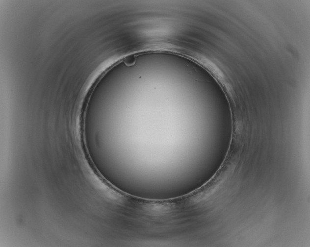 X0000111350947200907171140