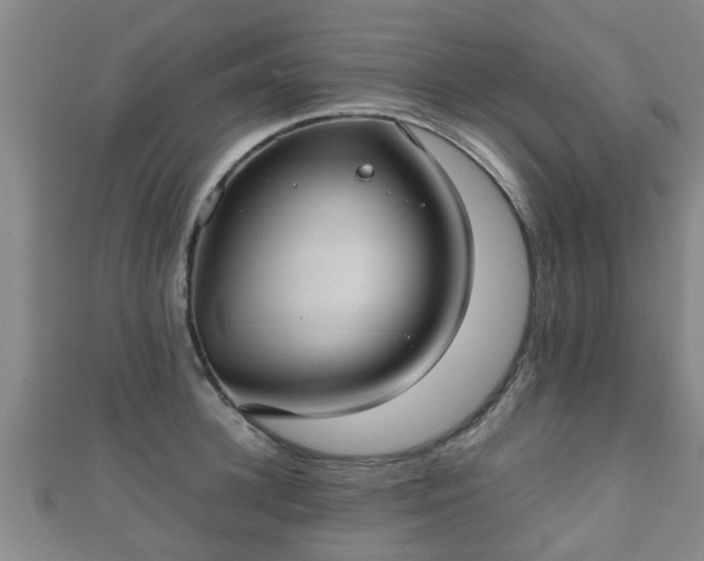 X0000111350948200907171140