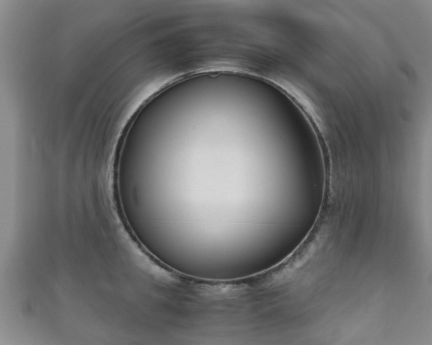 X0000111350949200907171140