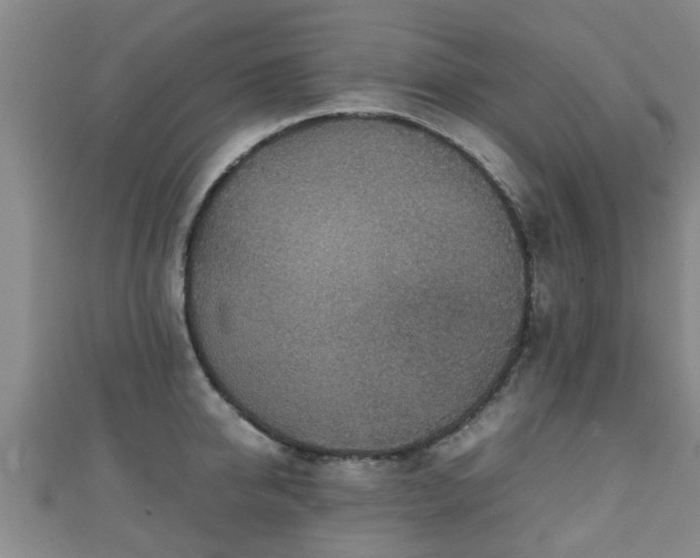 X0000111350950200907171140