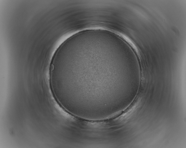 X0000111350951200907171140