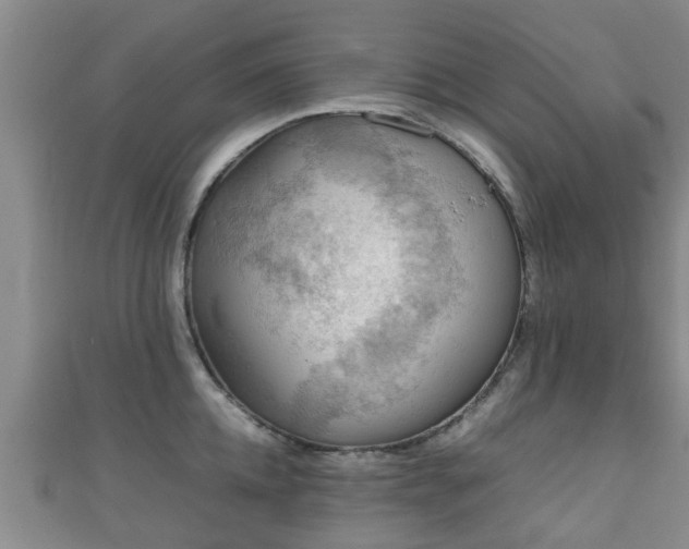 X0000111350952200907171140