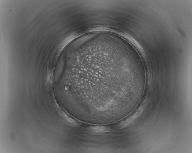 X0000111350953200907171140