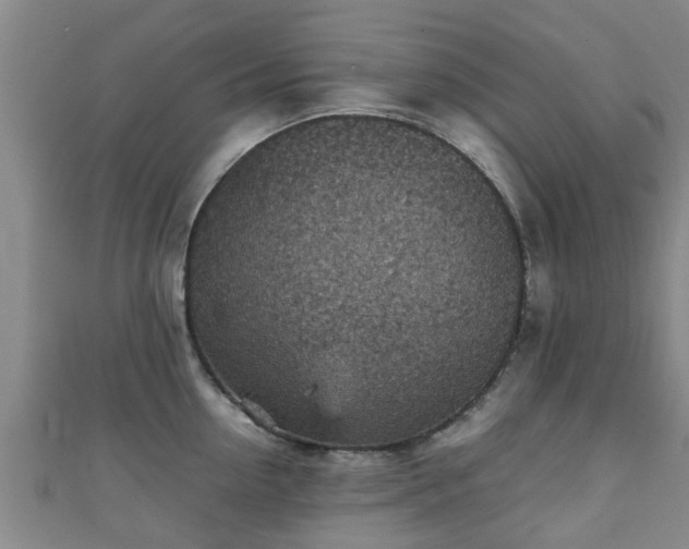 X0000111350954200907171140