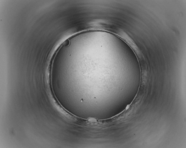 X0000111350955200907171140