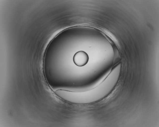 X0000111350956200907171140