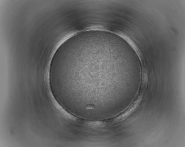 X0000111350957200907171140