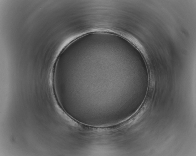 X0000111350958200907171140