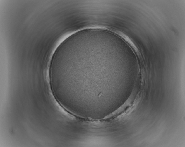 X0000111350959200907171140