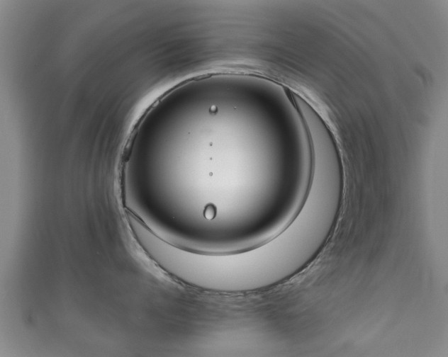 X0000111350960200907171140