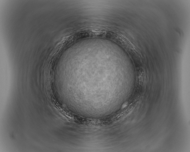 X0000111350961200907171139