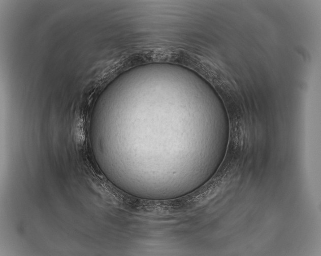 X0000111350962200907171139