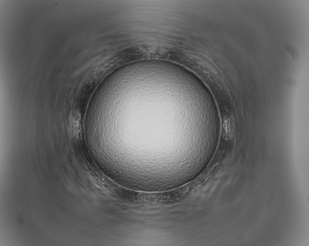 X0000111350963200907171139