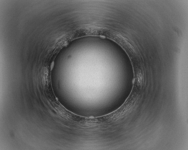 X0000111350964200907171139