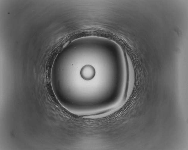 X0000111350965200907171139