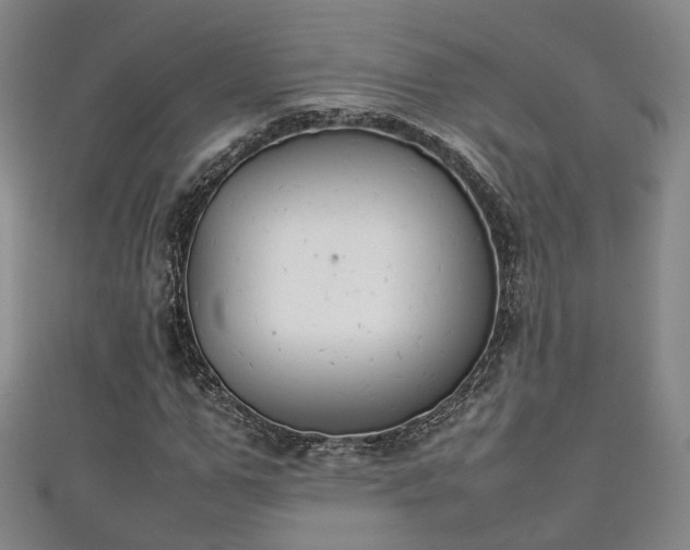 X0000111350967200907171139