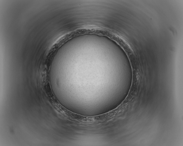 X0000111350968200907171139