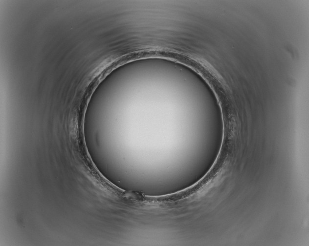 X0000111350969200907171139