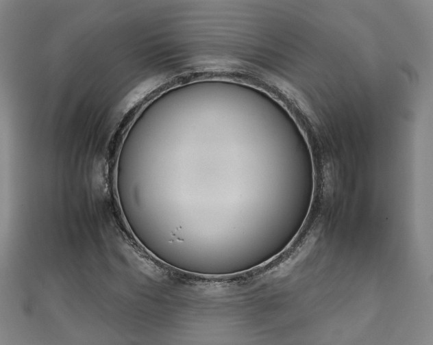 X0000111350970200907171139